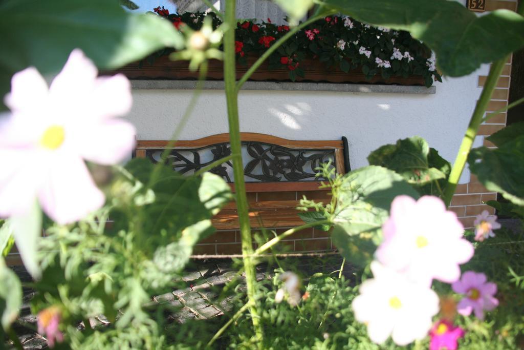 Hotel - Restaurant Berghof Berghausen  Eksteriør bilde